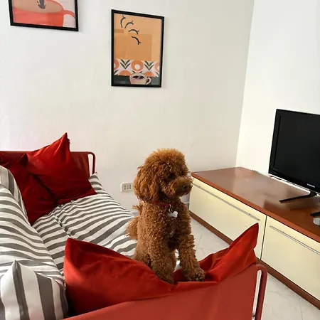 Апартаменты Casa Dell'opera